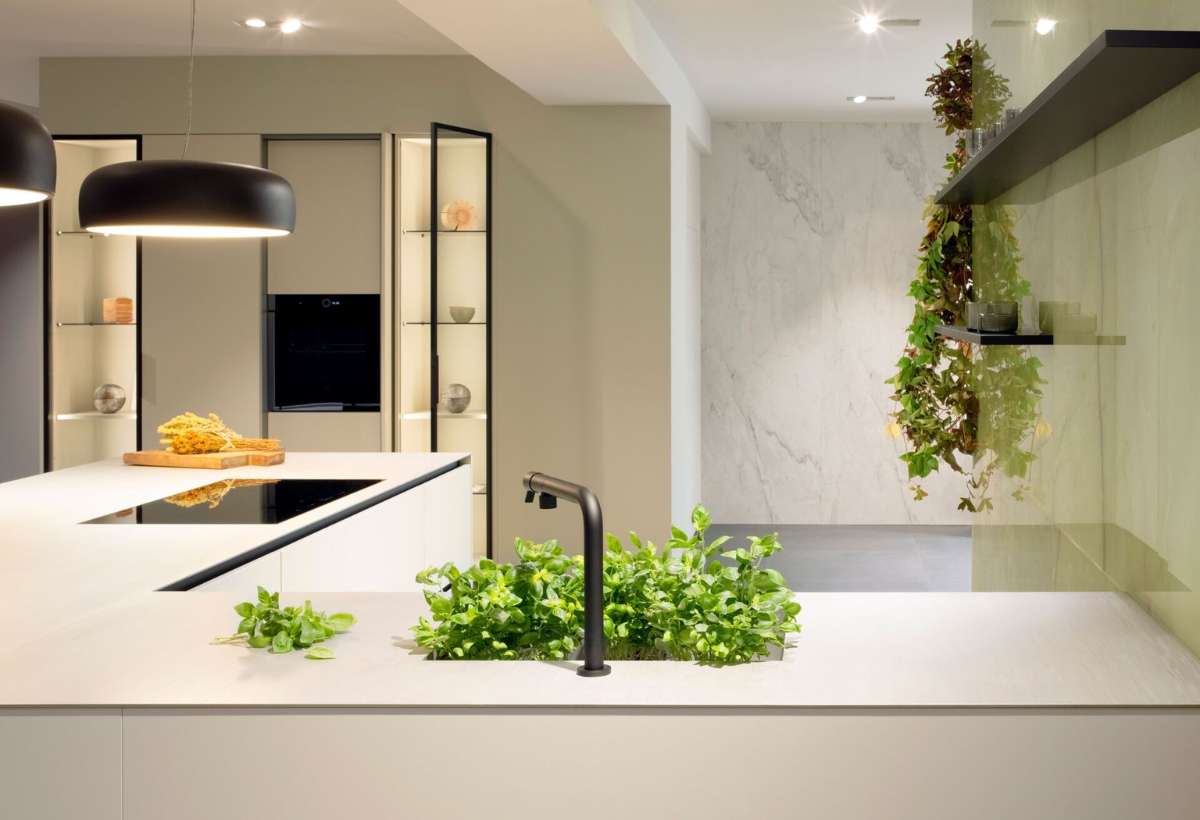 Mạnh mẽ và rực rỡ 1